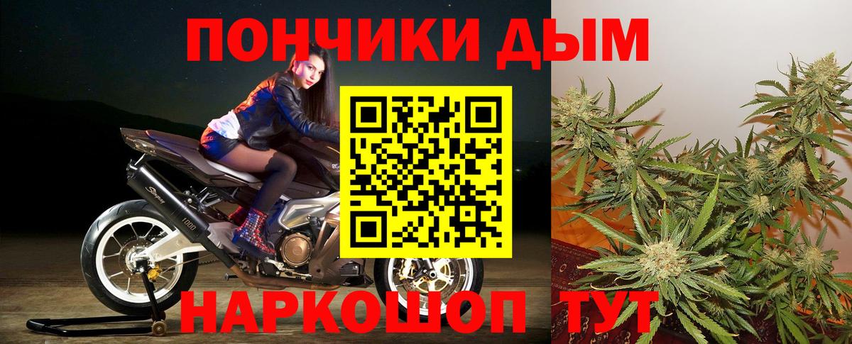 Конопля сатива  Бошки Шишки ГИДРОПОН  Верхняя Пышма  Вход с VPN  МАРИХУАНА OG Kush 